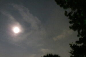 new camera 006